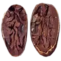 porcelain seed