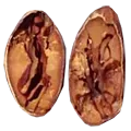porcelain seed