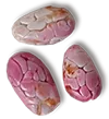 porcelain seed